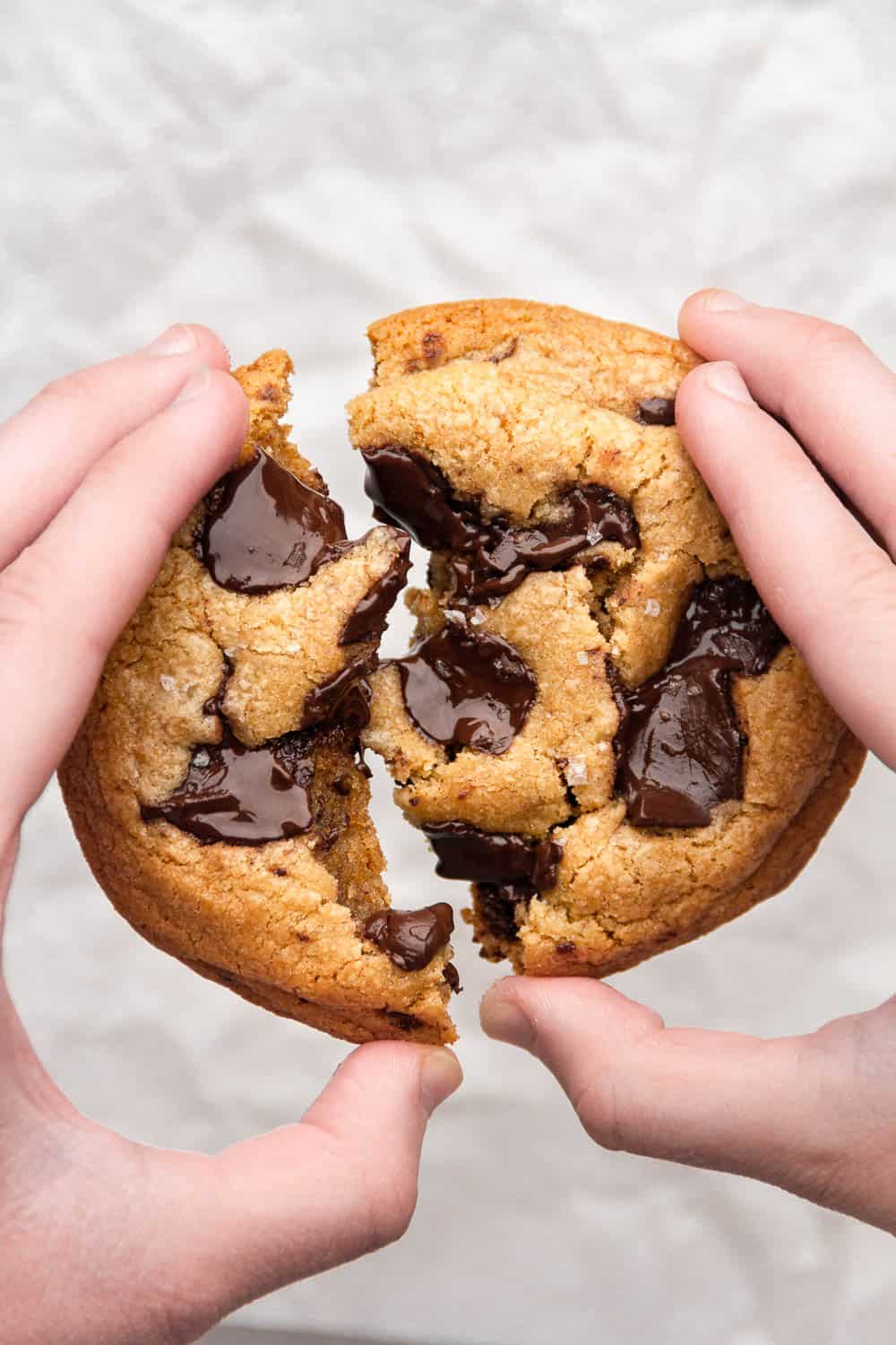 One Bowl Small Batch Chocolate Chip Cookies