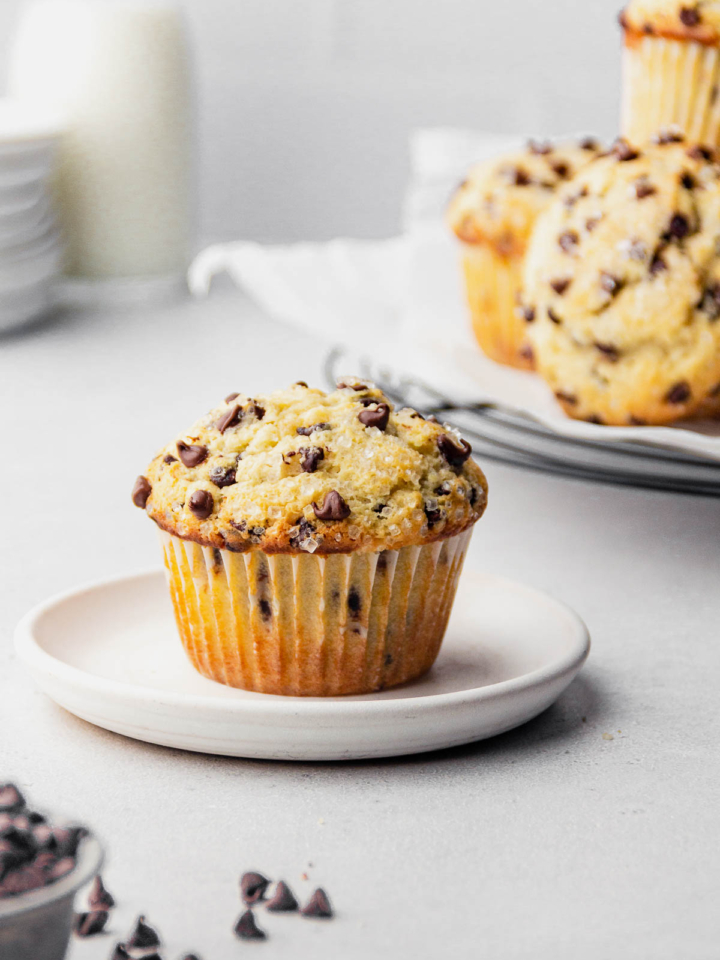 Mini Loaves – Lemon Poppy, Chocolate Chip, Banana Chip – SIMPLY